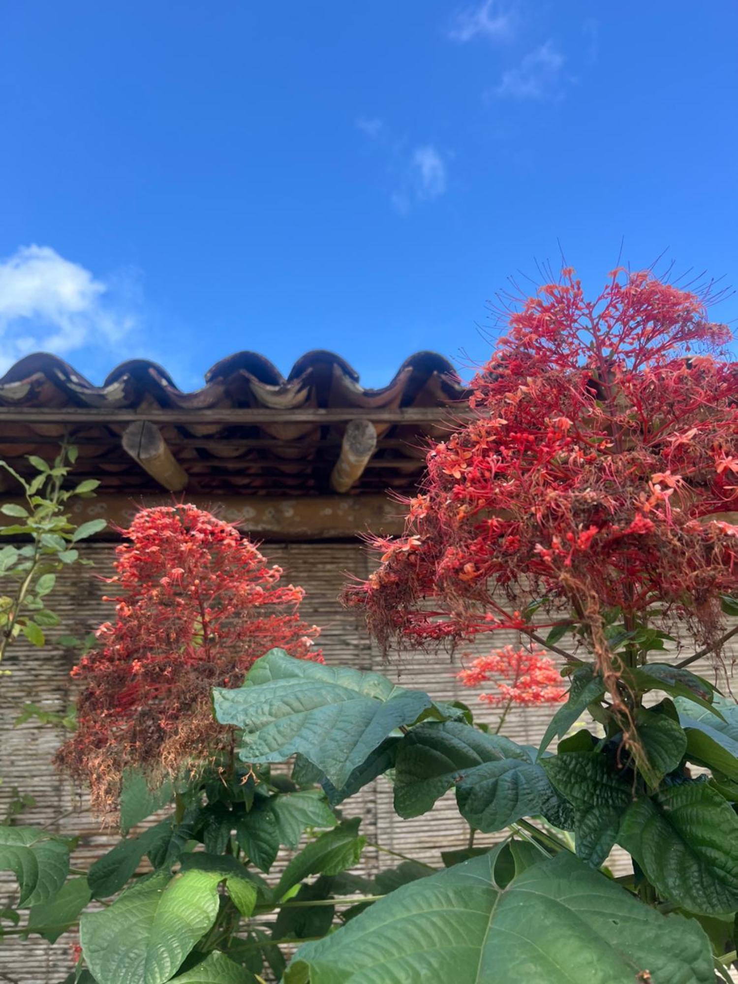 Porto Taipu Villa Ponta Buitenkant foto
